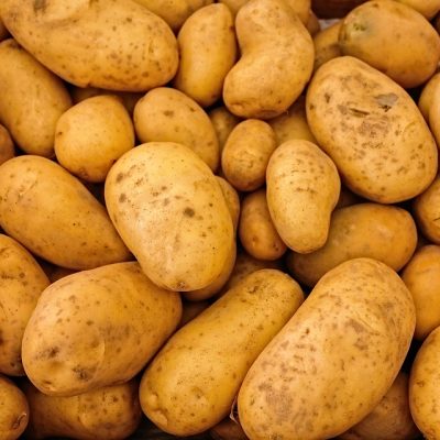 Come Coltivare le Patate